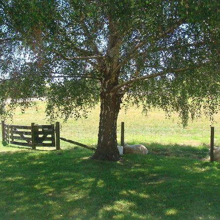 Woolshed Bed & Breakfast Takaka Buitenkant foto